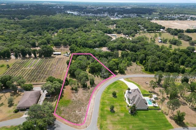 000 DARLINGTON AVENUE, Lady Lake, FL 32159