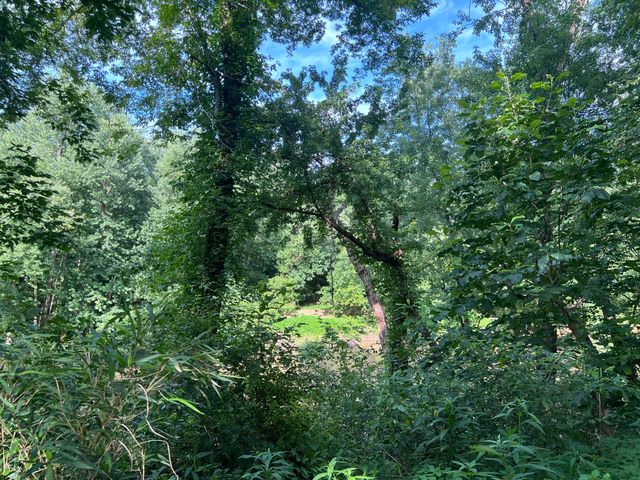 0 Green Acres Davis Bend KY 3441, Barbourville, KY 40906