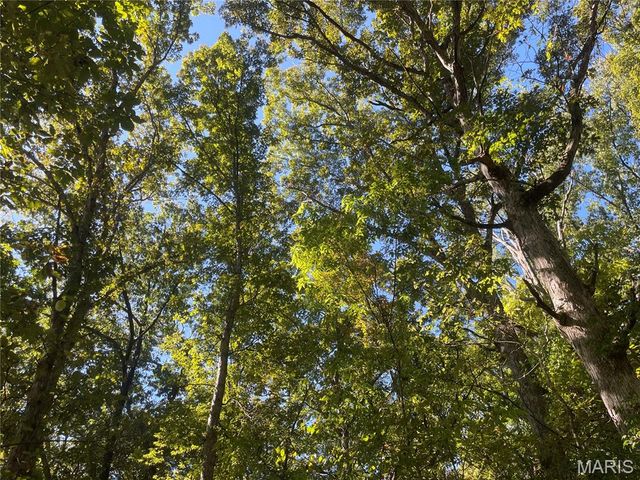 23 Plantation Oaks Lane, O'fallon, MO 63366