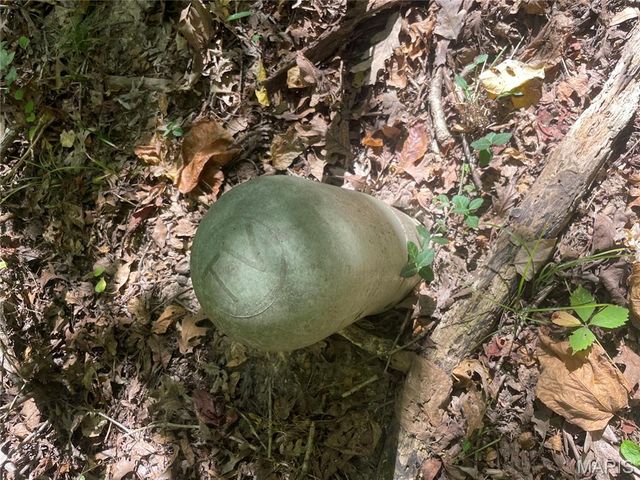 23 Plantation Oaks Lane, O'fallon, MO 63366