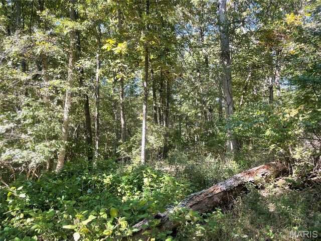 23 Plantation Oaks Lane, O'fallon, MO 63366