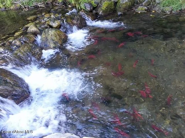 57 & 59 W Dolly Varden Ave, Bayview, ID 83803