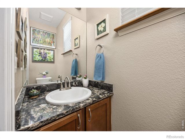 1979 Cayman Drive, Windsor, CO 80550