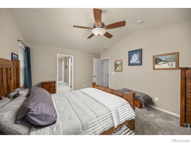 1979 Cayman Drive, Windsor, CO 80550