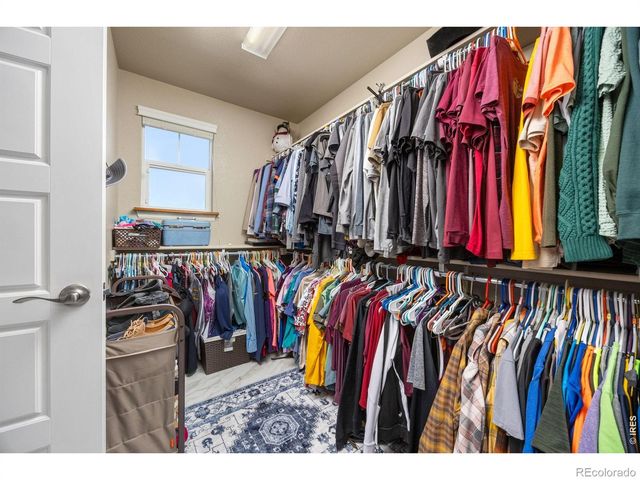 1979 Cayman Drive, Windsor, CO 80550
