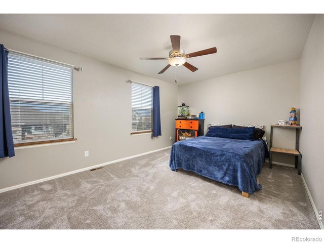 1979 Cayman Drive, Windsor, CO 80550