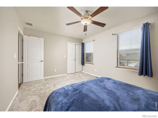 1979 Cayman Drive, Windsor, CO 80550