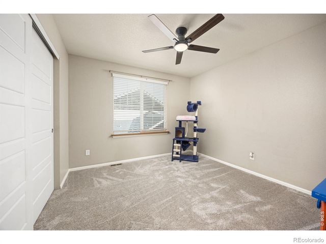 1979 Cayman Drive, Windsor, CO 80550