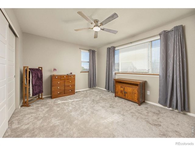 1979 Cayman Drive, Windsor, CO 80550