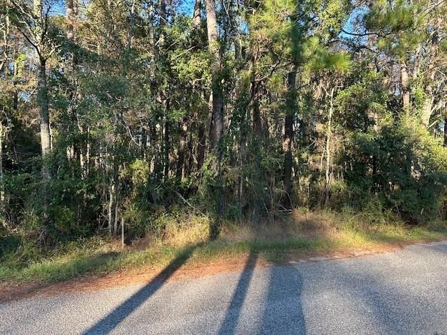 0 Bayou Drive, Bayou La Batre, AL 36509