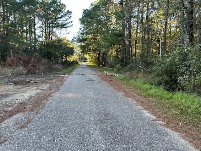 0 Bayou Drive, Bayou La Batre, AL 36509