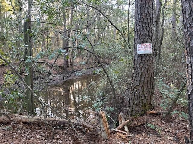 0 Bayou Drive, Bayou La Batre, AL 36509