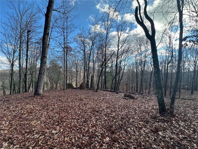 200 Mincey Acres Drive, Murrayville, GA 30564