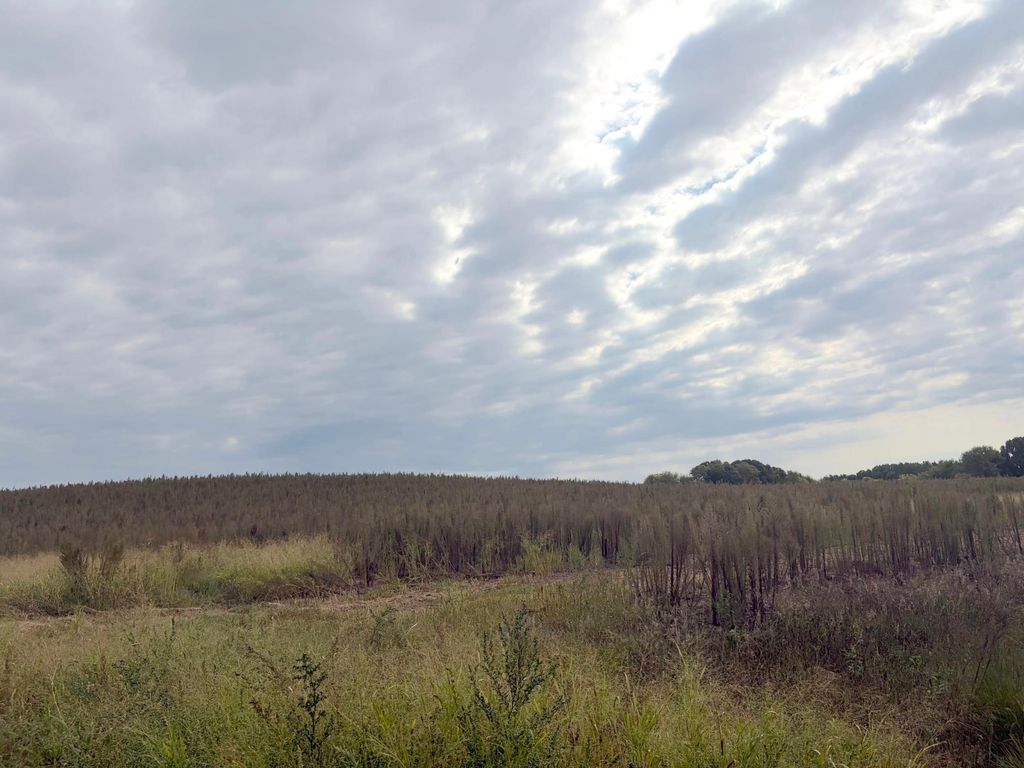 TBD (L9-SM East) Flamingo Street NW, Isanti, MN 55040 — photo 2