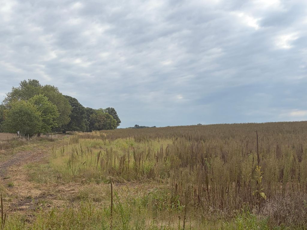 TBD (L9-SM East) Flamingo Street NW, Isanti, MN 55040 — photo 4