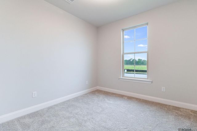 12071 Clare Ct, Geismar, LA 70734