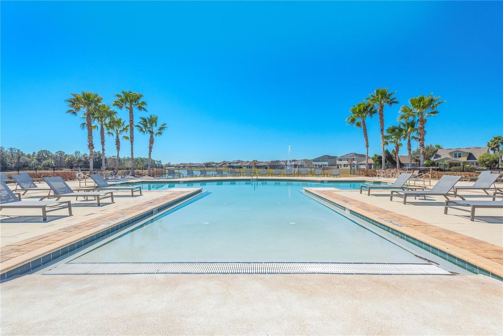 Image 19 of property listing at 11908 GREENCHOP PLACE, Riverview, FL 33579