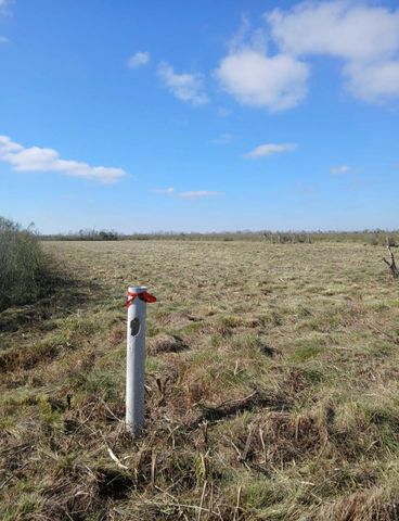 807 County Road 807, Angleton, TX 77515