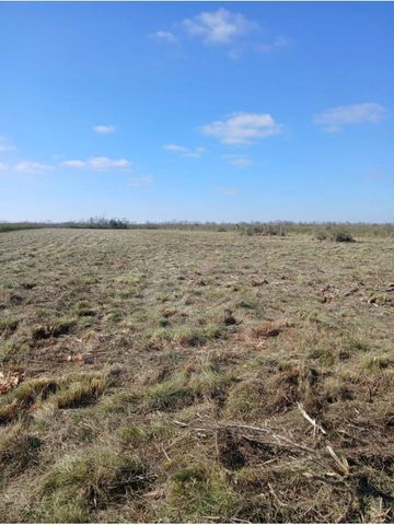 807 County Road 807, Angleton, TX 77515