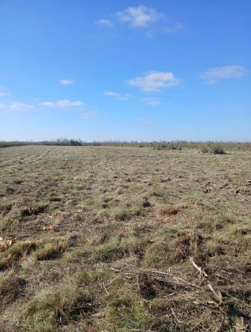 807 County Road 807, Angleton, TX 77515