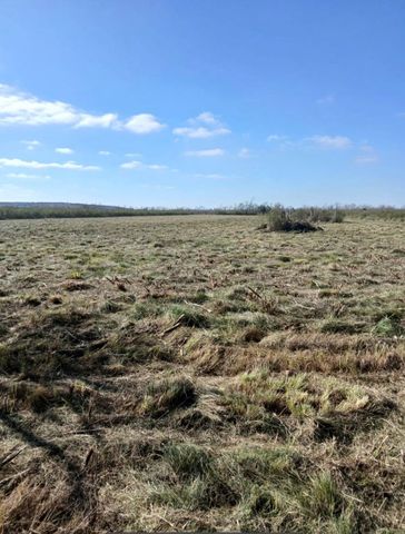 807 County Road 807, Angleton, TX 77515