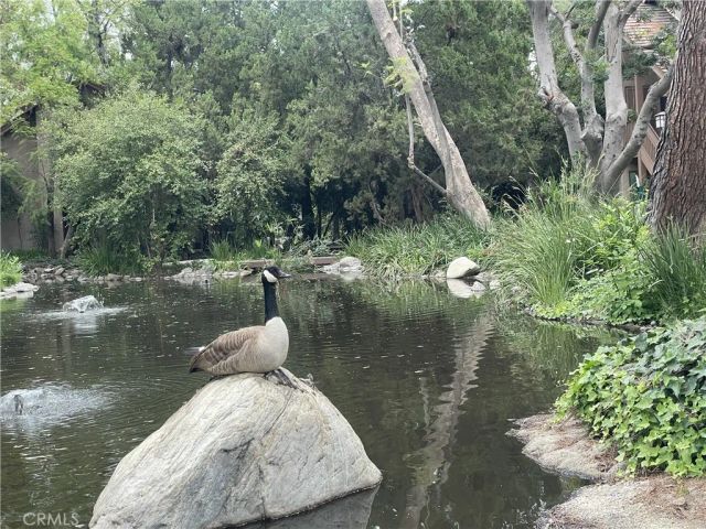 7050 Shoup 221, Canoga Park, CA 91303