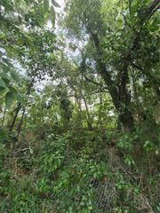 8748 NE JACKSONVILLE ROAD, Anthony, FL 32617