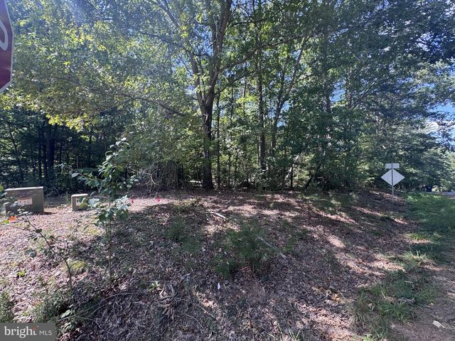 LOT 3 LAKESHORE LN, Mineral, VA 23117