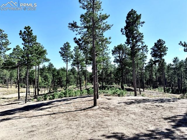 3145 Promise Point, Colorado Springs, CO 80921