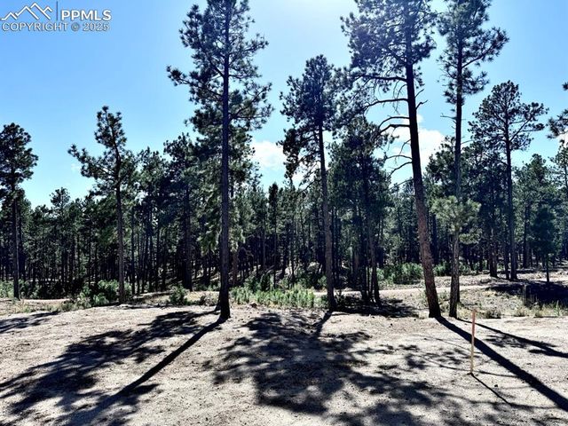 3145 Promise Point, Colorado Springs, CO 80921