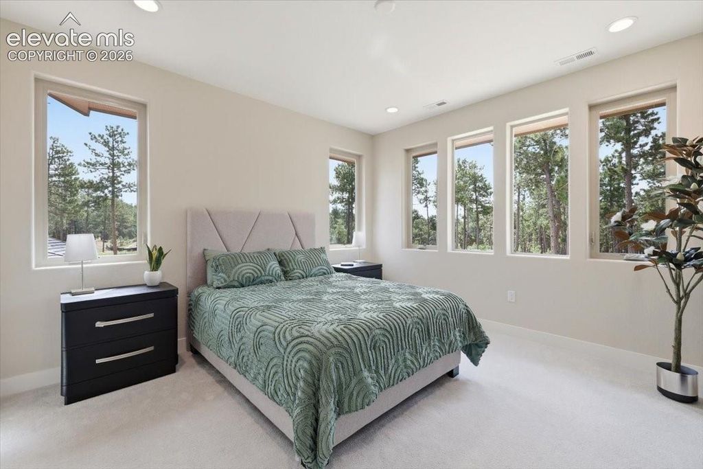 3145 Promise Point, Colorado Springs, CO 80921 — photo 4