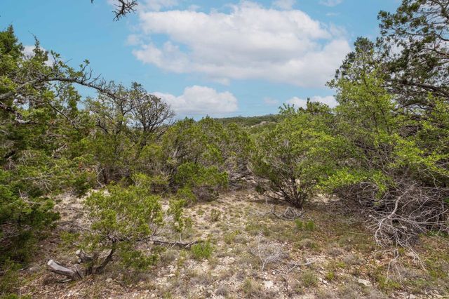 TBD Shelton Ranch RD, Dripping Springs, TX 78620