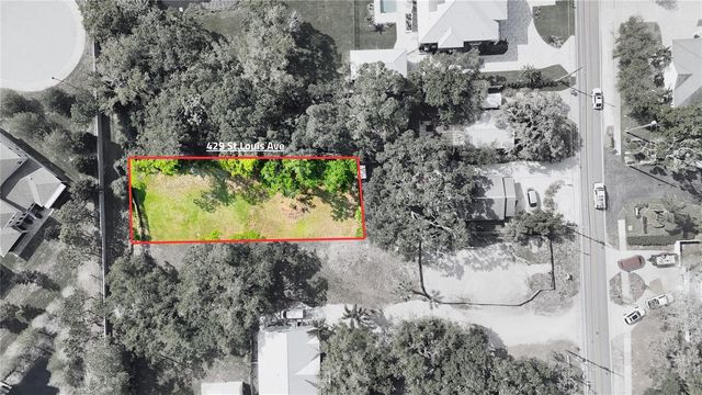 429 ST LOUIS AVENUE, Palm Harbor, FL 34683