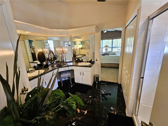 4521 GULFWINDS DRIVE, Lutz, FL 33558