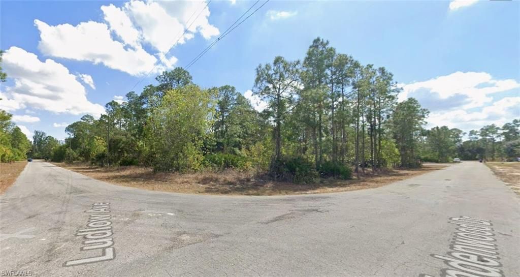 315 LUDLOW AVE, LEHIGH ACRES, FL 33972 — exterior