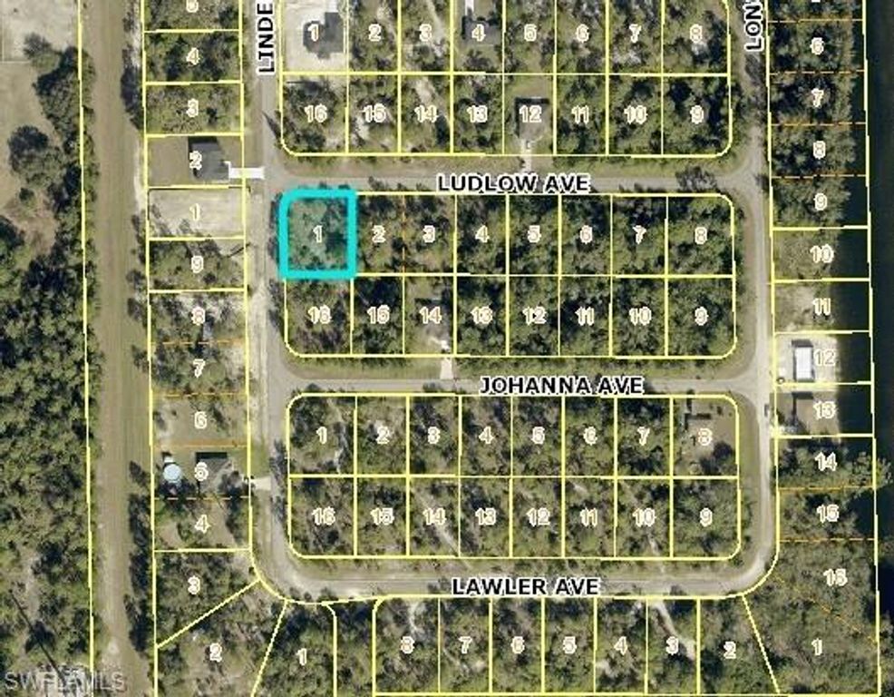 315 LUDLOW AVE, LEHIGH ACRES, FL 33972 — photo 3