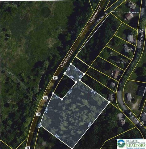 Chestnut Street, Hereford Twp, PA 18056
