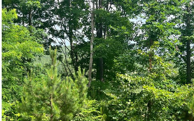60 Thirteen Hundred, Blairsville, GA 30512