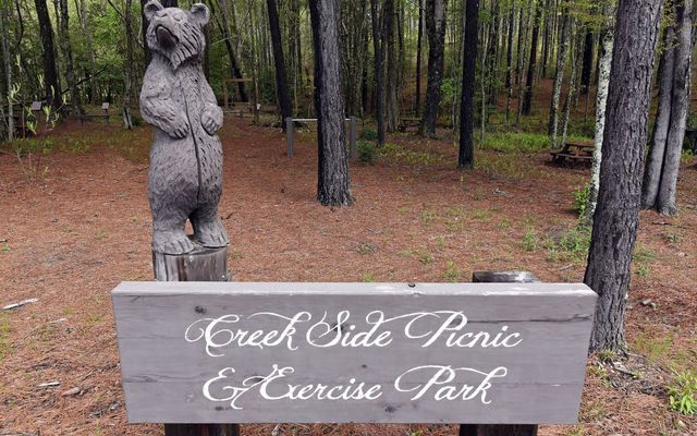 60 Thirteen Hundred, Blairsville, GA 30512