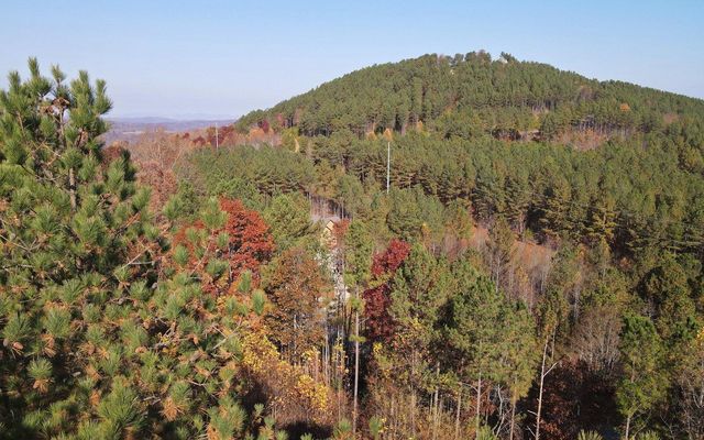 60 Thirteen Hundred, Blairsville, GA 30512