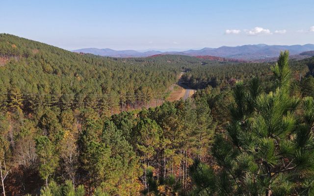 60 Thirteen Hundred, Blairsville, GA 30512