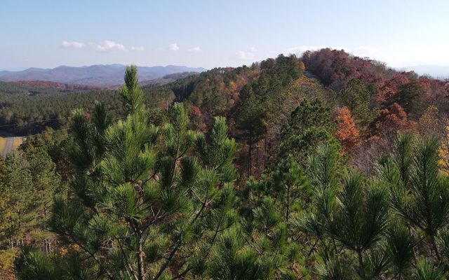 60 Thirteen Hundred, Blairsville, GA 30512