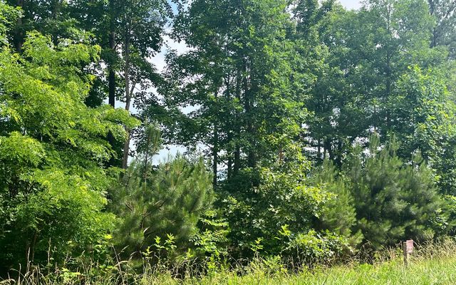60 Thirteen Hundred, Blairsville, GA 30512