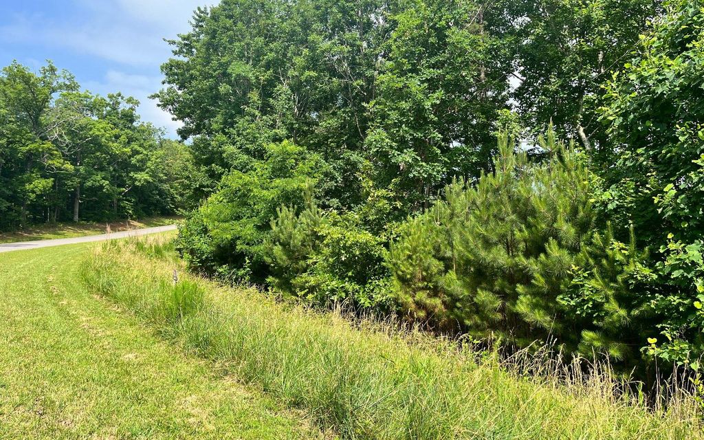 60 Thirteen Hundred, Blairsville, GA 30512