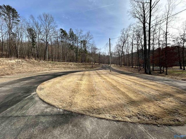 3585 County Road 104, Cedar Bluff, AL 35959