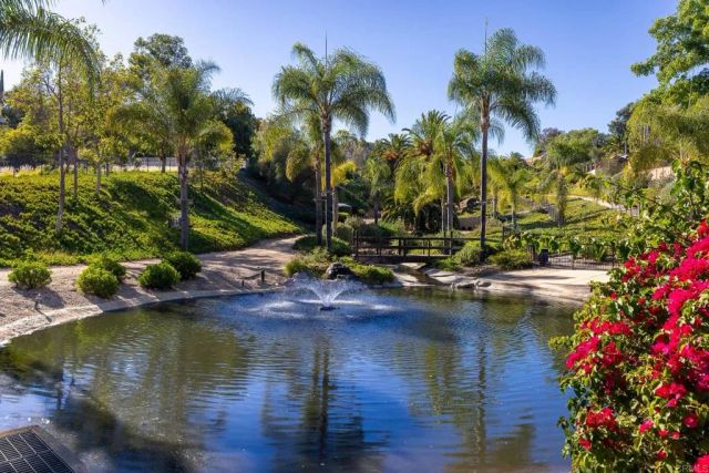 1973 Buckskin, Escondido, CA 92027
