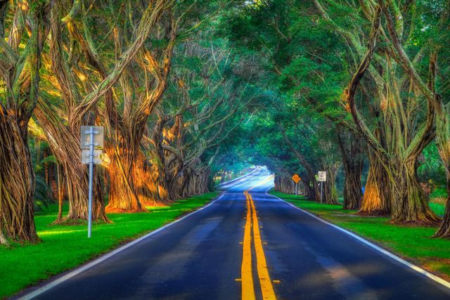 8502 SE Royal Street, Hobe Sound, FL 33455