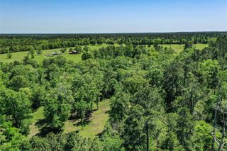 79.3 Acres Reese Rd, Pennington, TX 75856