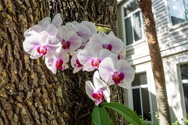 1235 Winding Oaks Circle E 503, Vero Beach, FL 32963