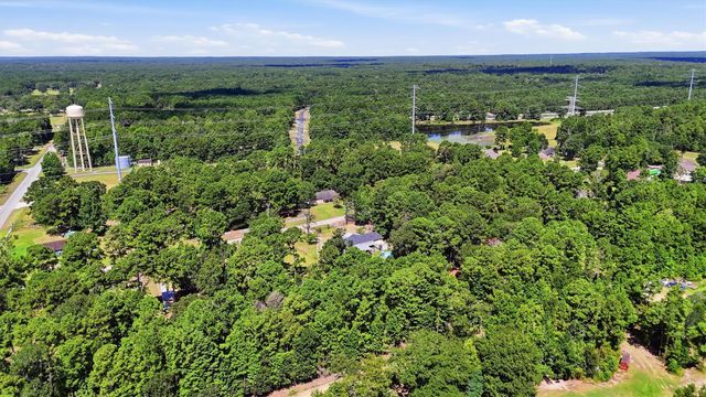 104 Plantation Drive, Waller, TX 77484